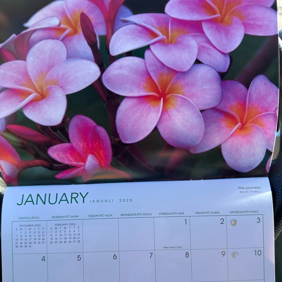 570. FLOWERS of Hawaii 2025 Hawaiian Twelve-Month Wall Calendar - Picture 3 of 5